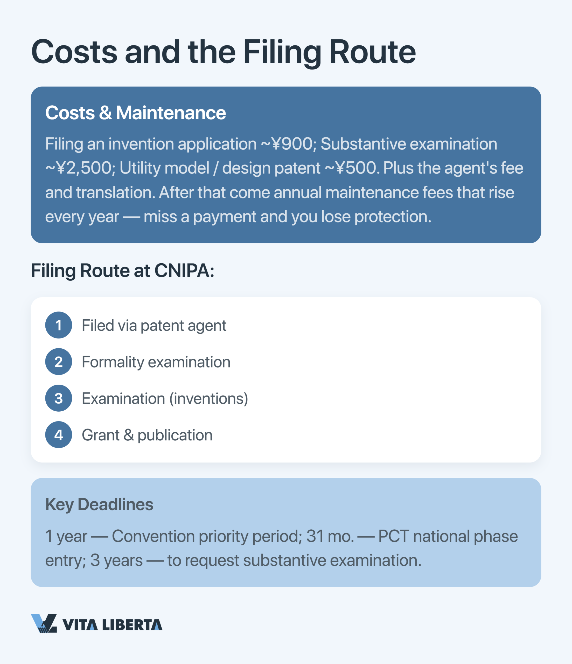 Diagram of how a company protects patents and copyright in China through CNIPA